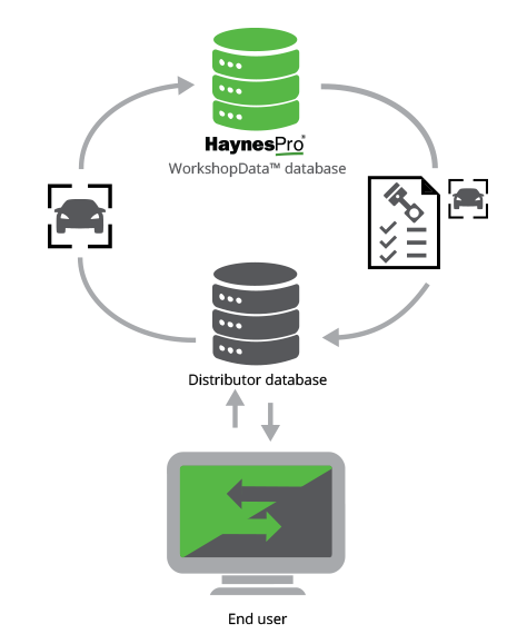 Infographic portal to portal